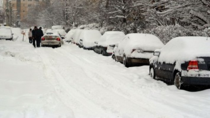 Vamă ÎNCHISĂ: 40 de turişti ucraineni, găzduiţi temporar la Primăria Mangalia